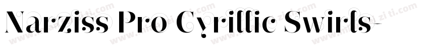 Narziss Pro Cyrillic Swirls字体转换